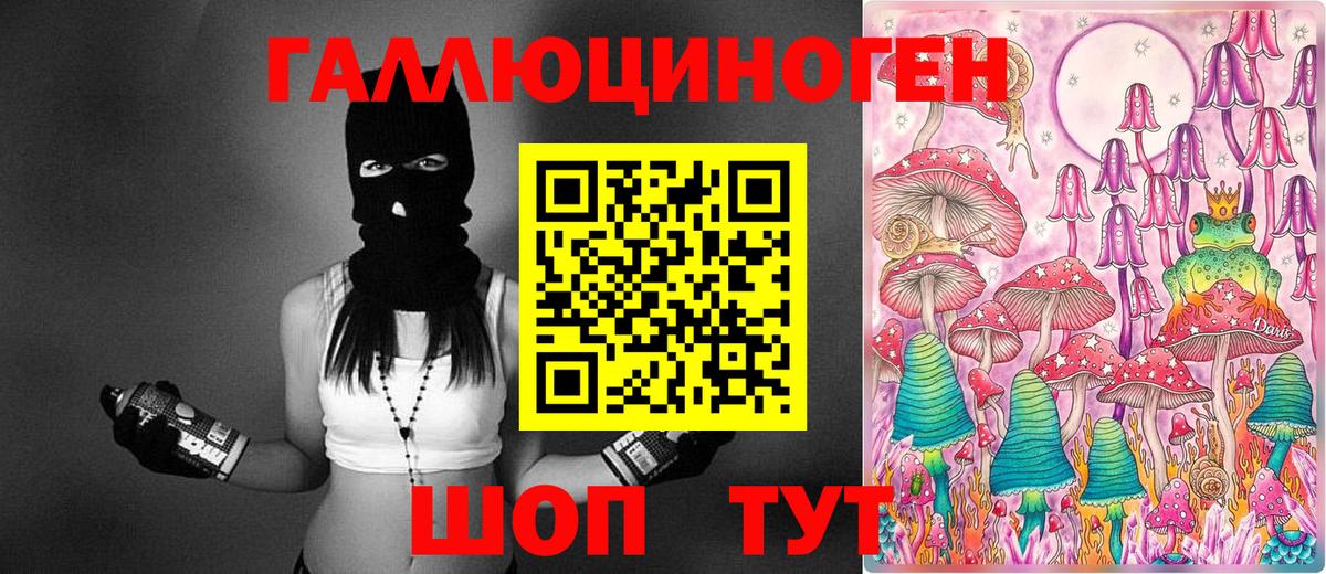 Псилоцибиновые грибы Psilocybe  Псилоцибиновые грибы мицелий  Вход с VPN  Ангарск 